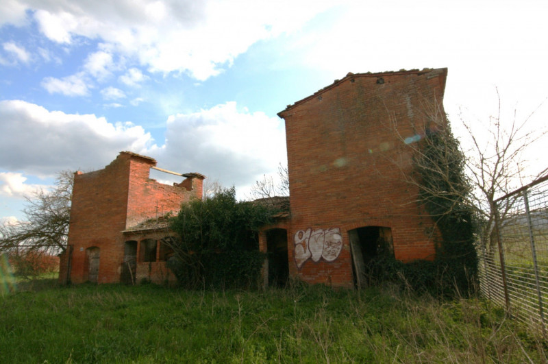 Foto annuncio 52