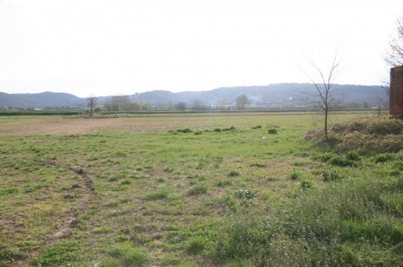 Foto annuncio 56
