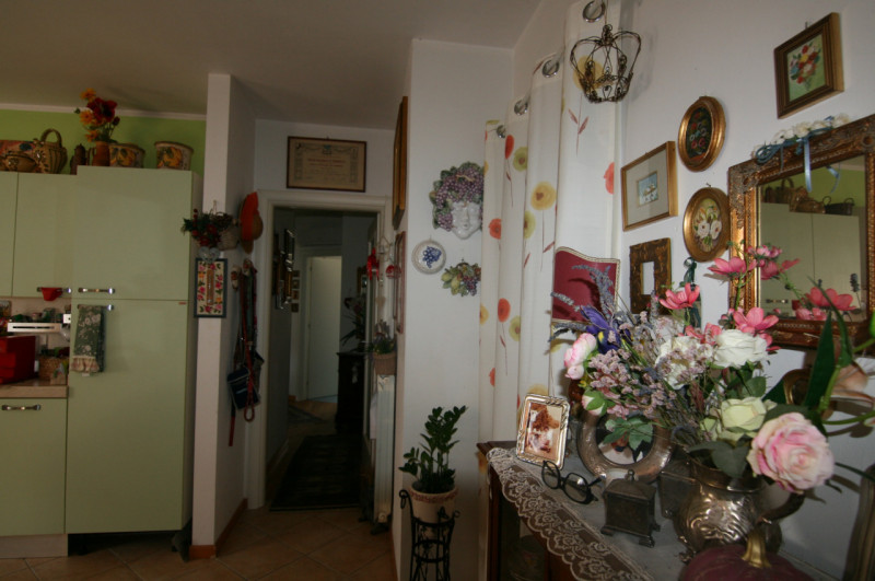 Foto annuncio 7