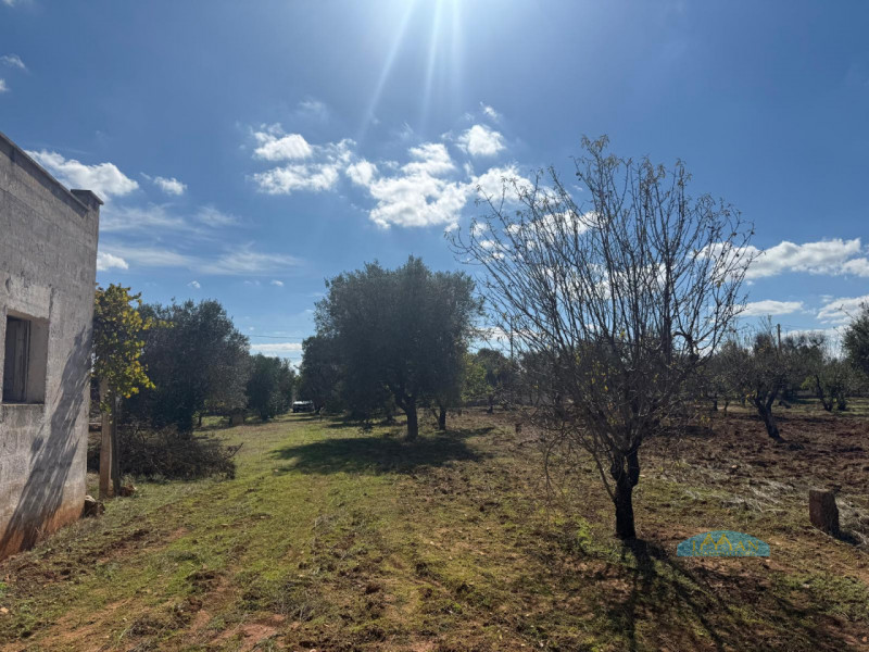 Foto annuncio 11
