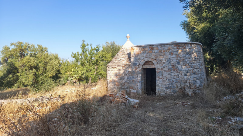 Foto annuncio 6