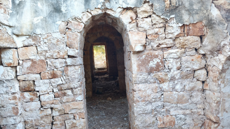 Foto annuncio 11