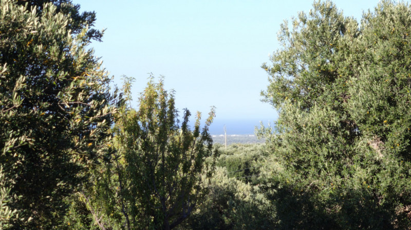 Foto annuncio 13