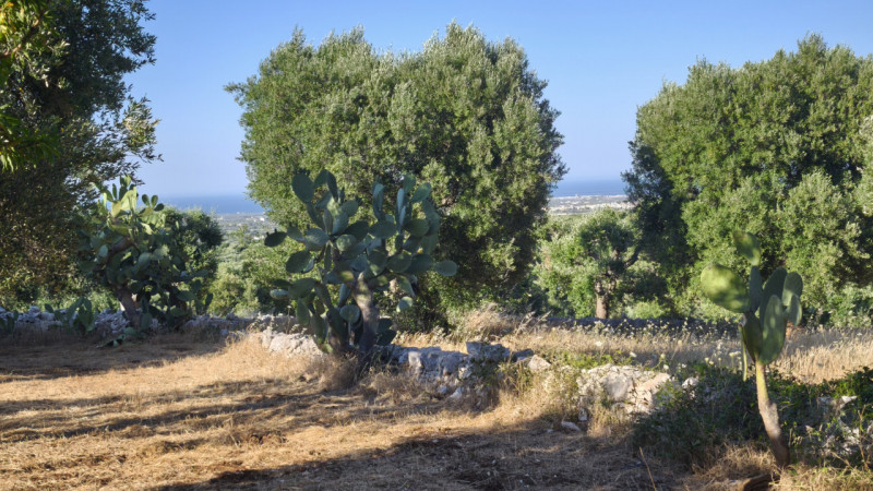 Foto annuncio 15