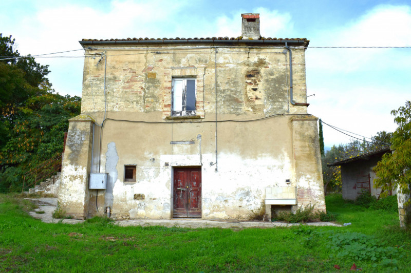 Foto annuncio 11