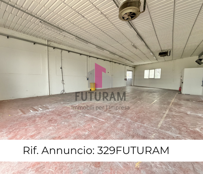 Foto annuncio 1