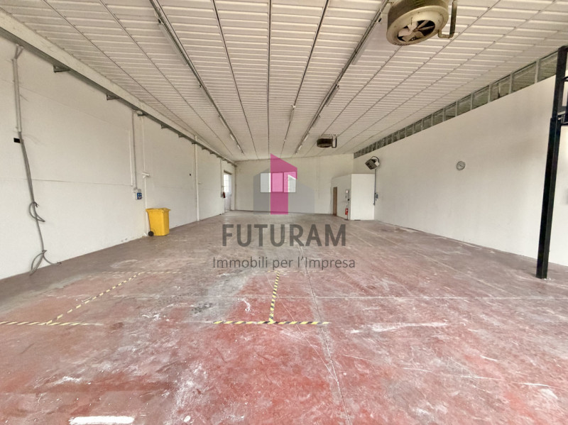 Foto annuncio 5