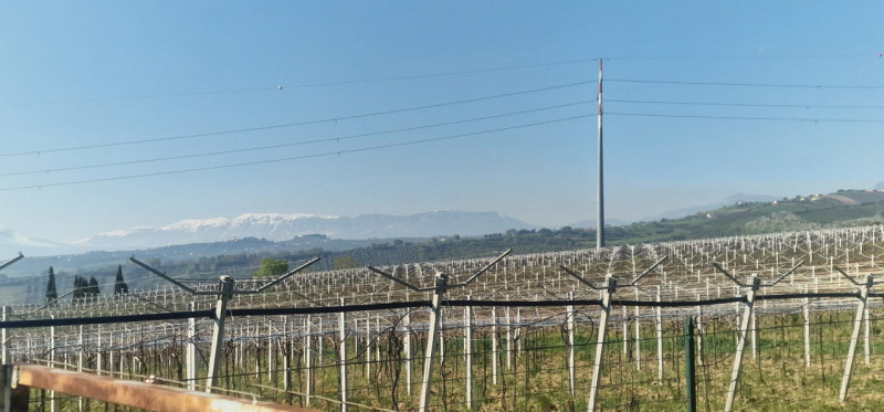 Foto annuncio 5