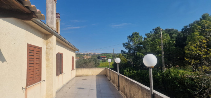 Foto annuncio 16
