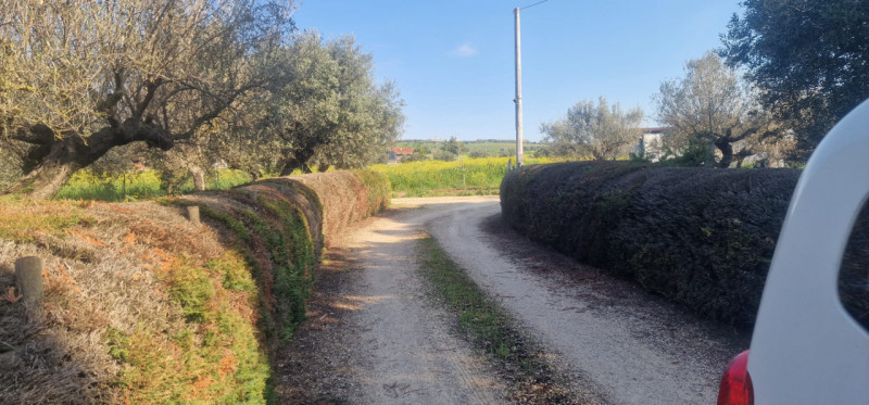 Foto annuncio 30