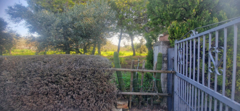 Foto annuncio 34