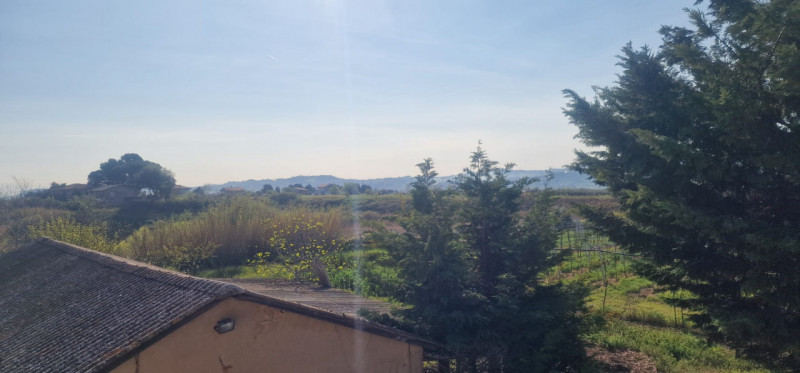 Foto annuncio 51