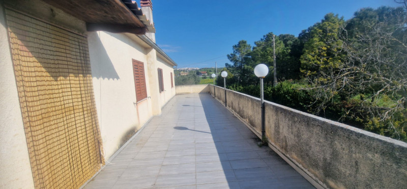Foto annuncio 54