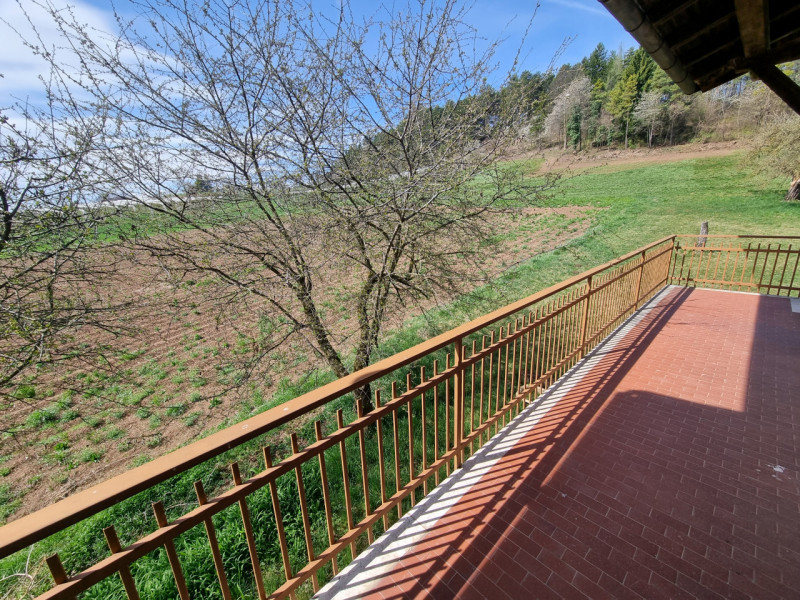 Foto annuncio 16