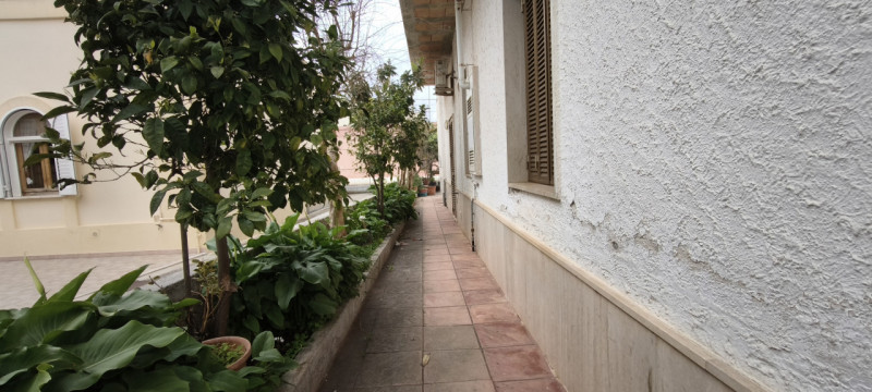 Foto annuncio 44