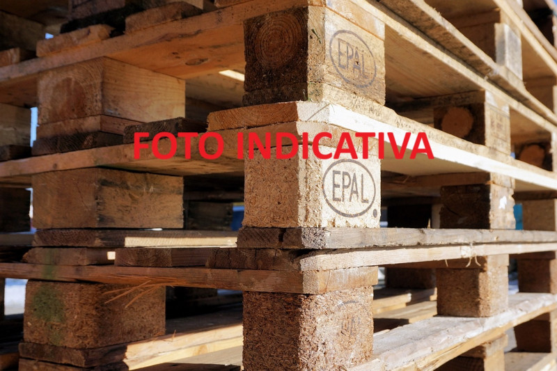 Foto annuncio 8