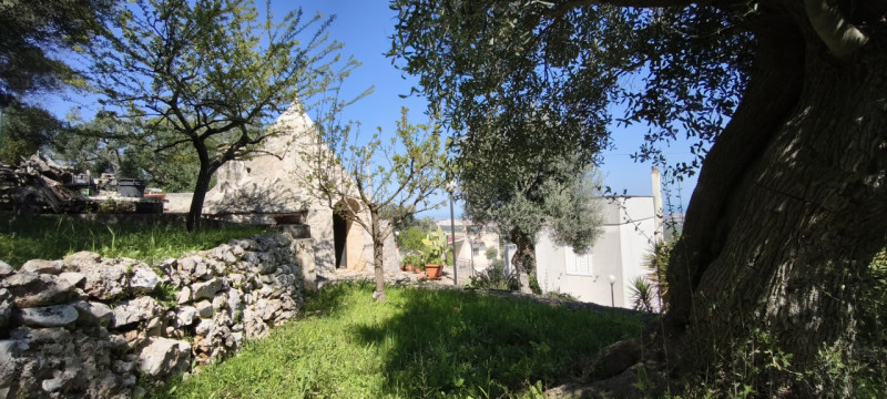Foto annuncio 41
