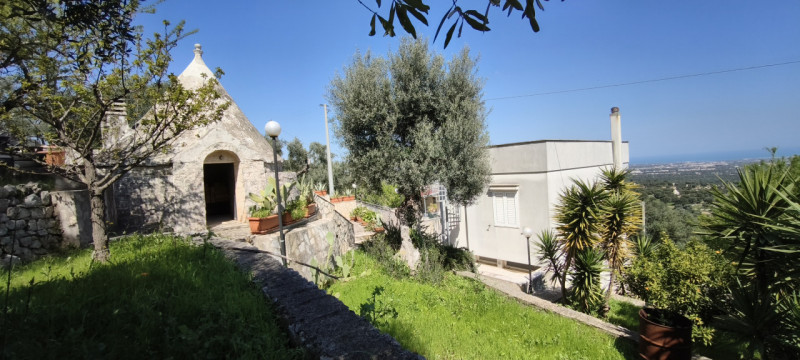 Foto annuncio 42