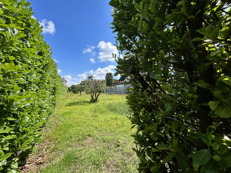 Foto annuncio 31
