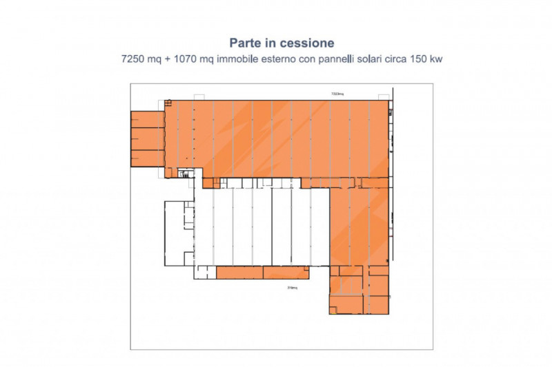Foto annuncio 5
