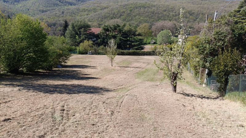 Foto annuncio 4