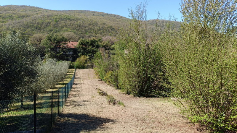 Foto annuncio 6