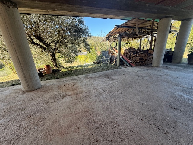 Foto annuncio 11