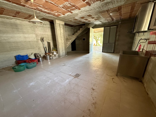 Foto annuncio 31