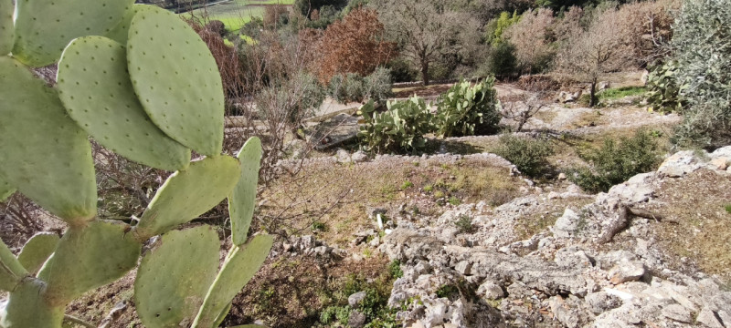 Foto annuncio 13