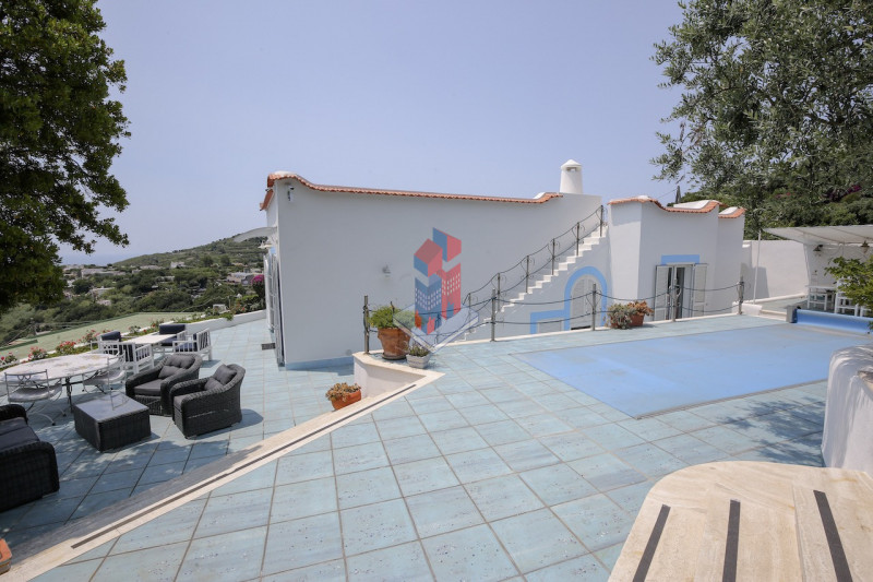Foto annuncio 73