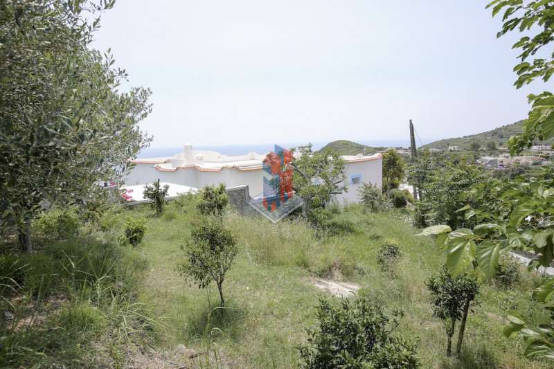Foto annuncio 107