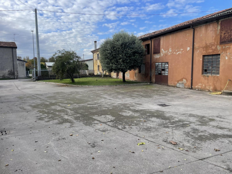 Foto annuncio 18