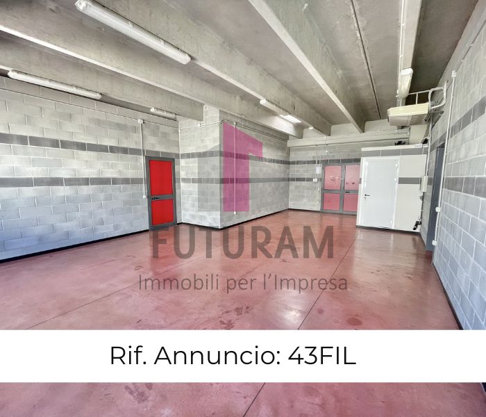 Foto annuncio 1
