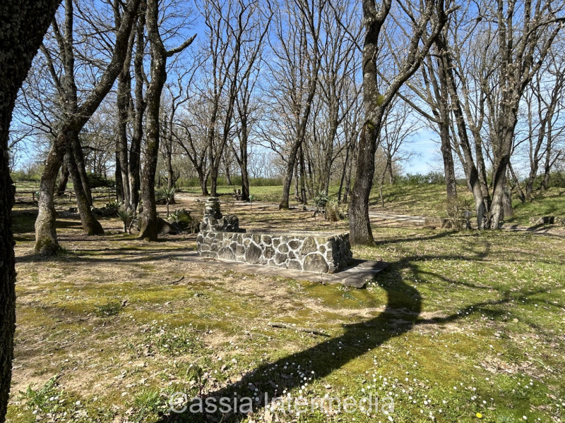 Foto annuncio 29