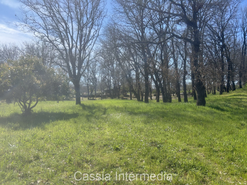 Foto annuncio 51