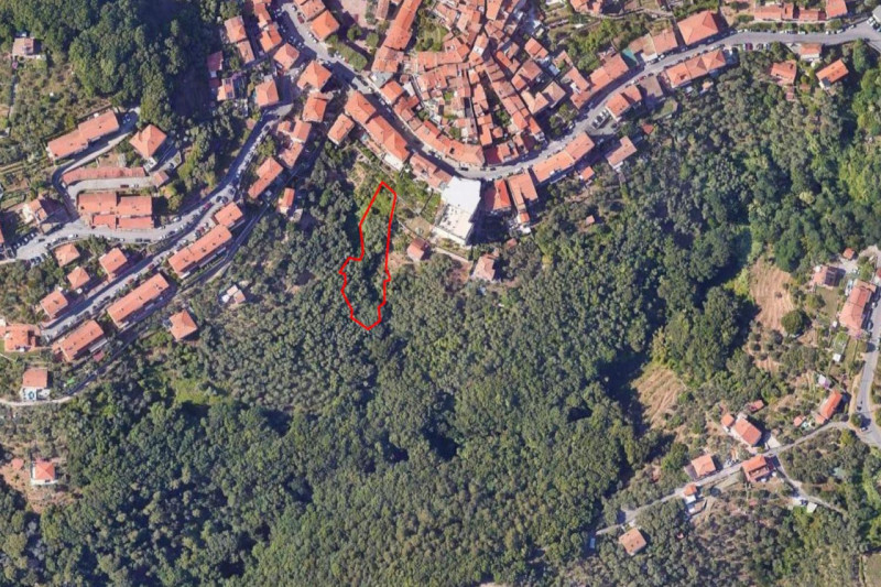 Foto annuncio 4