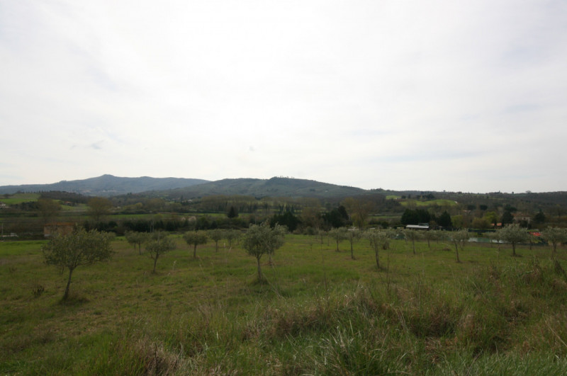 Foto annuncio 22