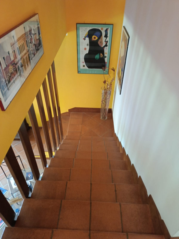 Foto annuncio 29