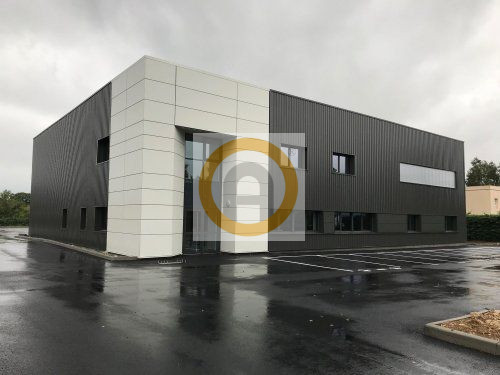 Foto annuncio 1
