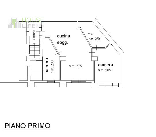 Foto annuncio 12