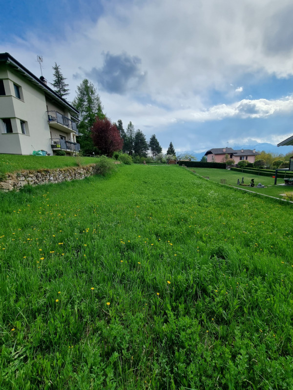 Foto annuncio 5