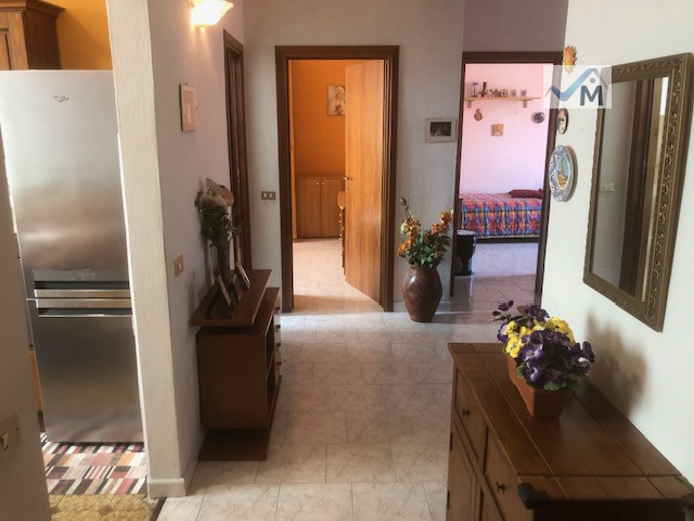 Foto annuncio 12