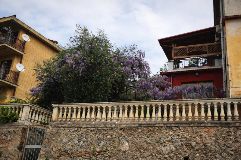 Foto annuncio 6