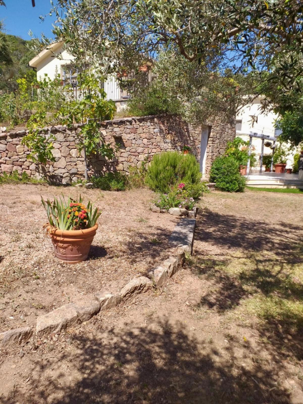 Foto annuncio 34