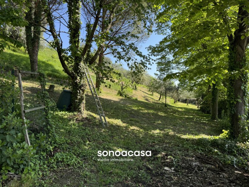 Foto annuncio 40