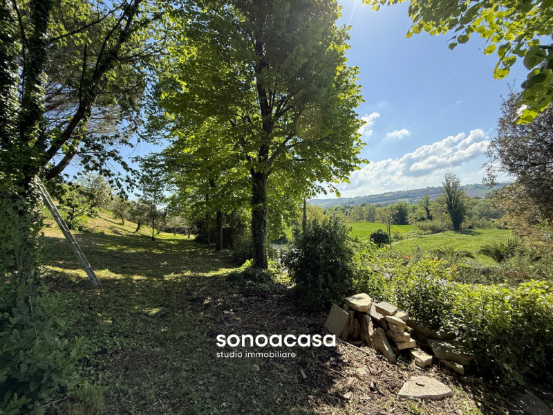 Foto annuncio 41