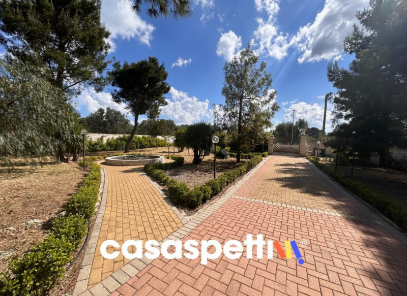 Foto annuncio 28