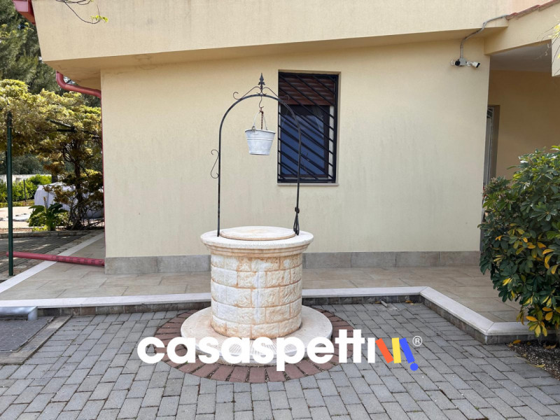 Foto annuncio 51