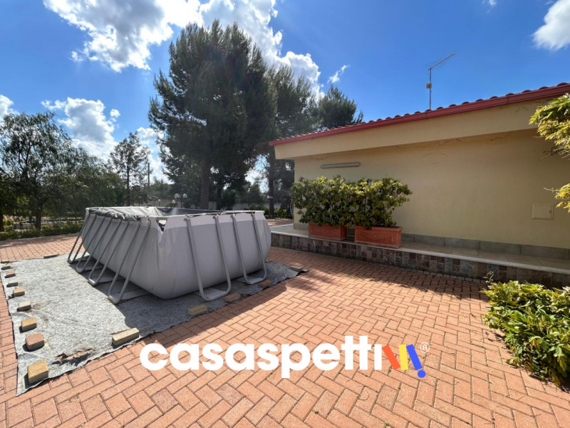 Foto annuncio 58