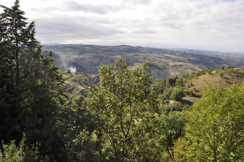 Foto annuncio 6